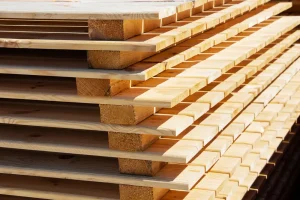 5 cách xử lý gỗ tươi tự nhiên đơn giản và hiệu quả nhất