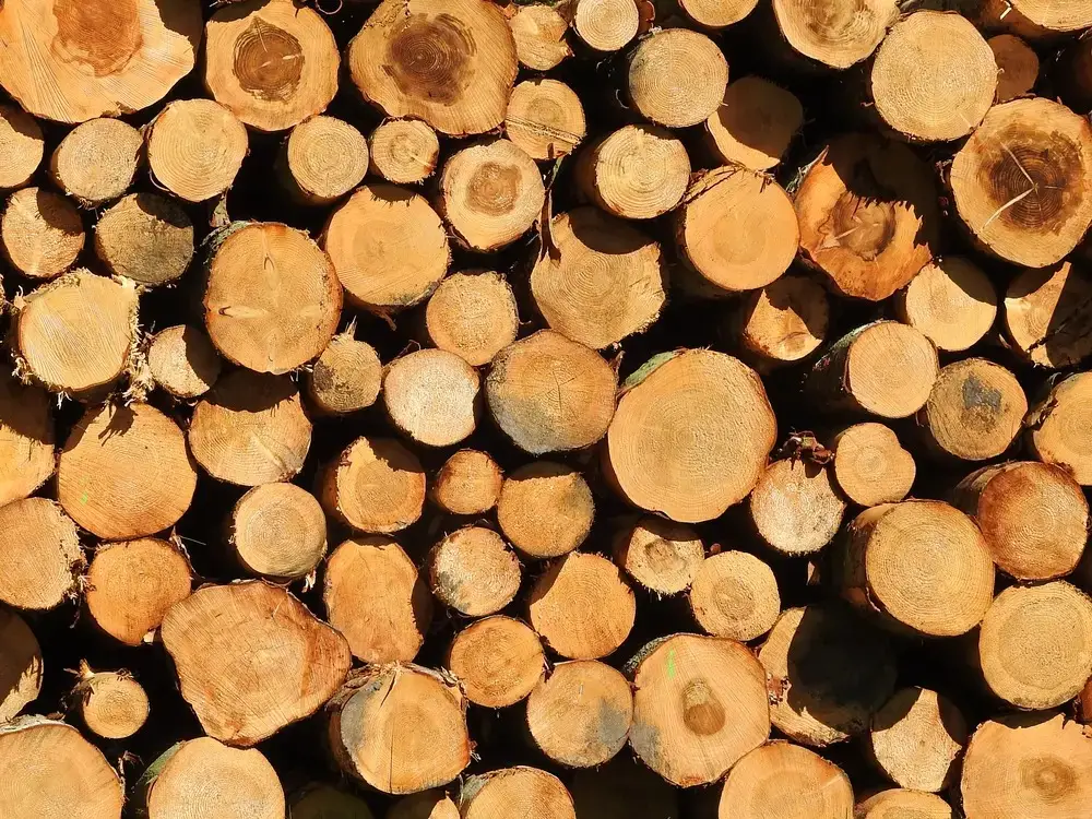 Nguyên liệu đầu vào trong quy trình sản xuất pallet gỗ
