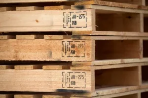 Dấu hun trùng trên pallet gỗ là gì?