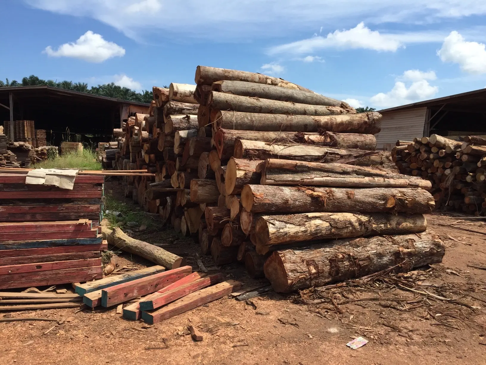 Chọn lọc nguyên liệu đầu vào cho quá trình sản xuất pallet gỗ
