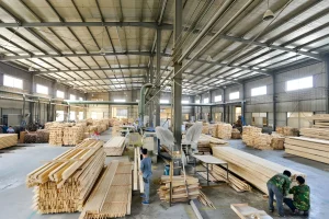 Tìm hiểu về doanh nghiệp sản xuất gỗ và xu hướng trong tương lai