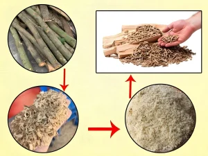 Mô hình kinh tế tuần hoàn trong ngành công nghiệp chế biến gỗ