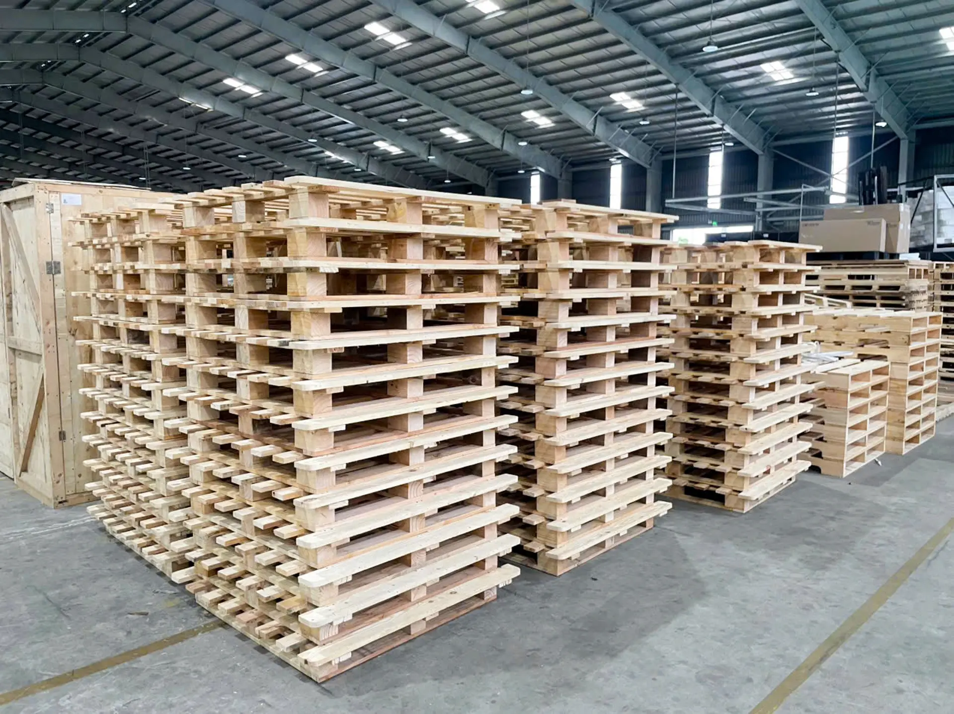 So sánh giữa pallet gỗ thông và pallet gỗ tràm trên thị trường