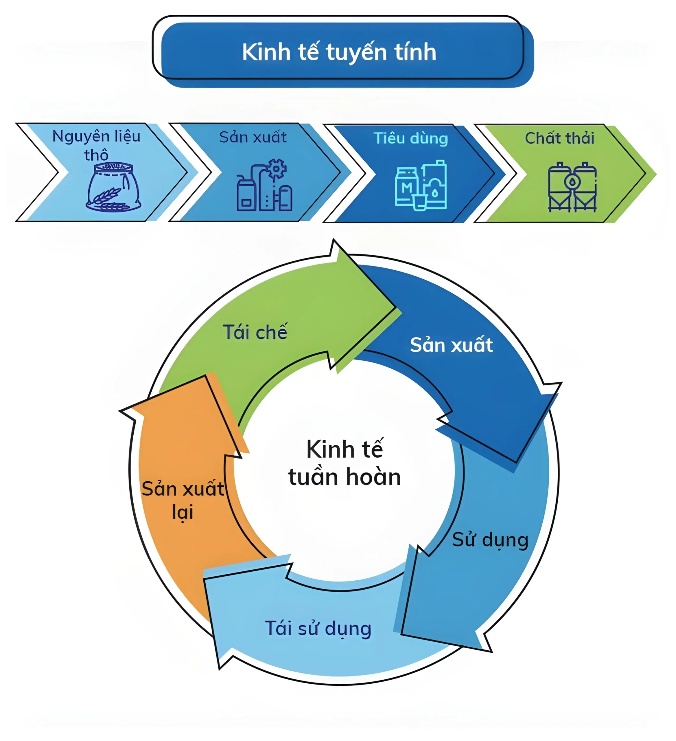 Mô hình kinh tế tuần hoàn trong ngành công nghiệp chế biến gỗ