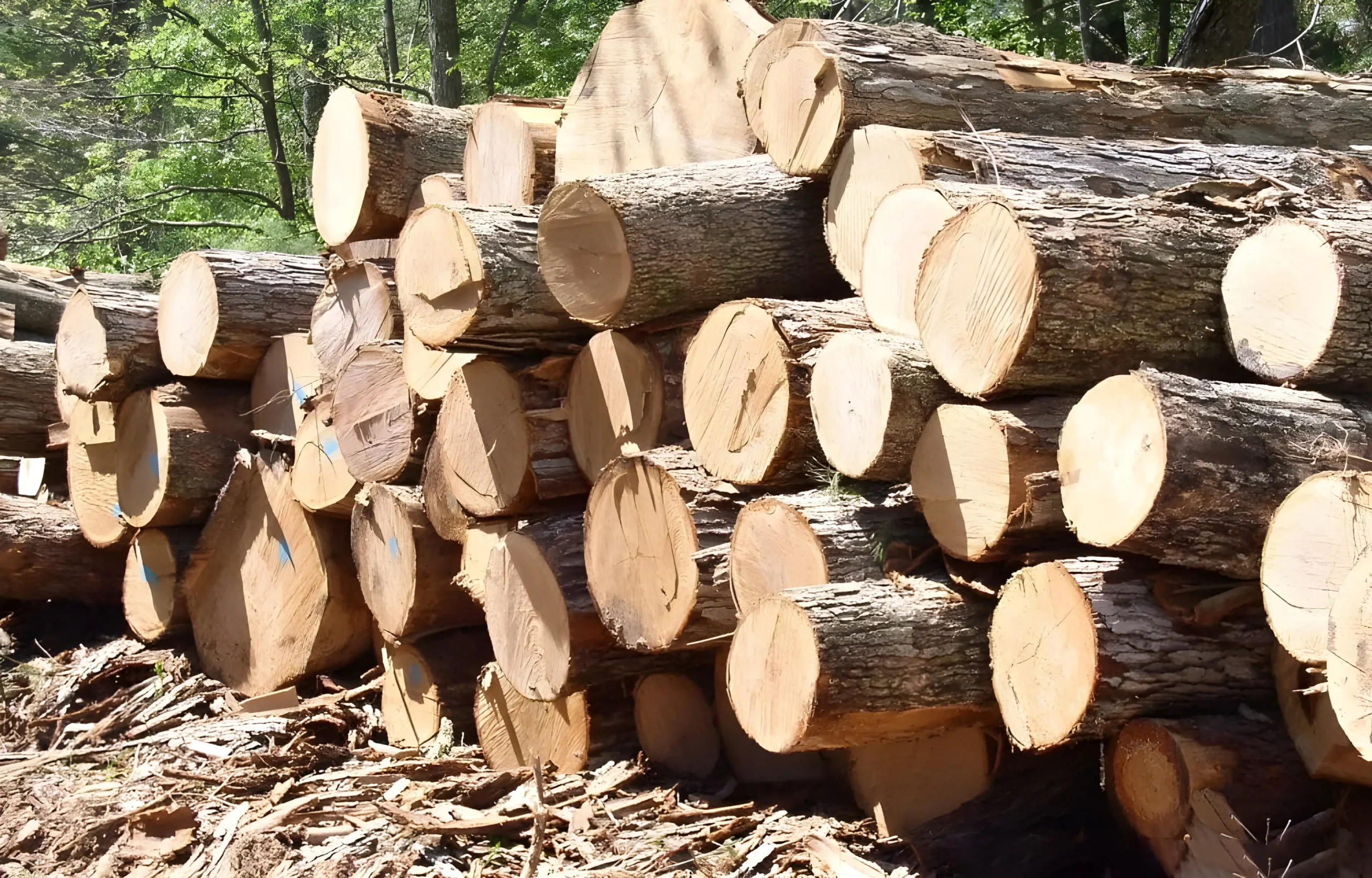 7 lưu ý khi đóng pallet gỗ đảm bảo an toàn cho hàng hóa