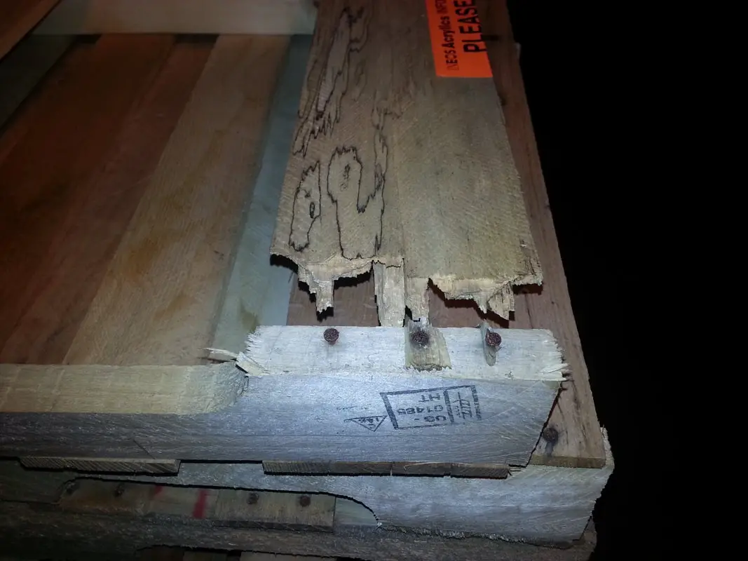 Kiểm tra pallet gỗ để bảo vệ hàng hóa và duy trì hoạt động kho bãi ổn định.