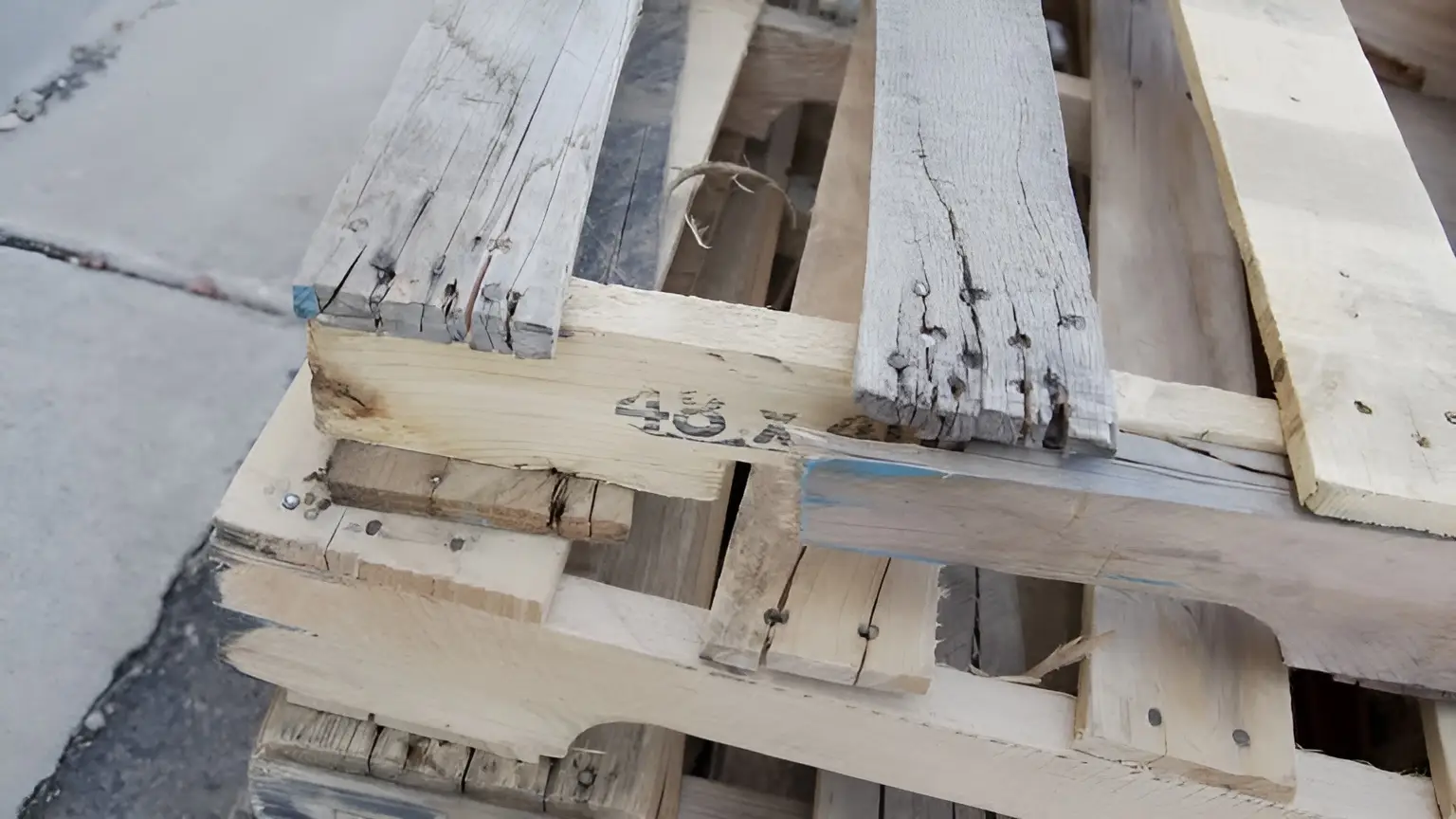 Kiểm tra trực quan tổng thể pallet gỗ