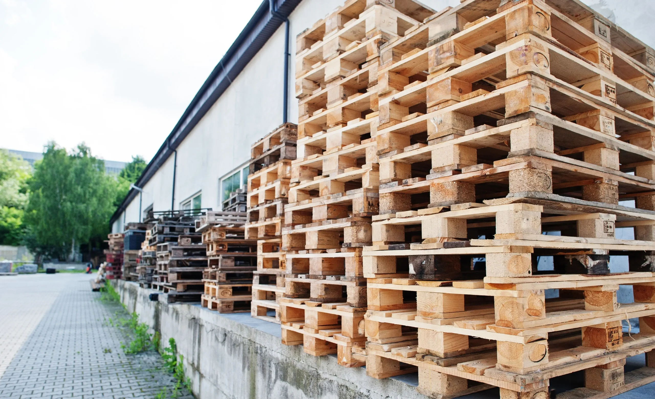 Pallet được thiết kế đúng tiêu chuẩn của xe nâng