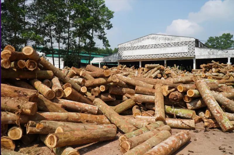 Triển lãm quốc tế gỗ và chế biến gỗ Việt Nam 2026 - Áp dụng công nghệ AI