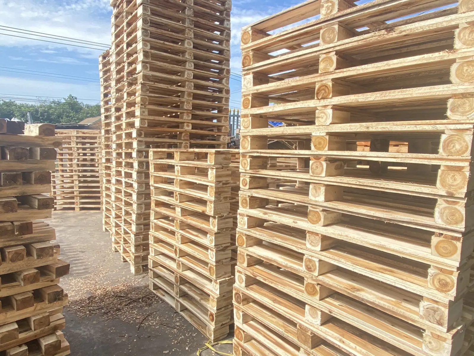 Những ưu điểm của pallet gỗ tràm trong vận chuyển