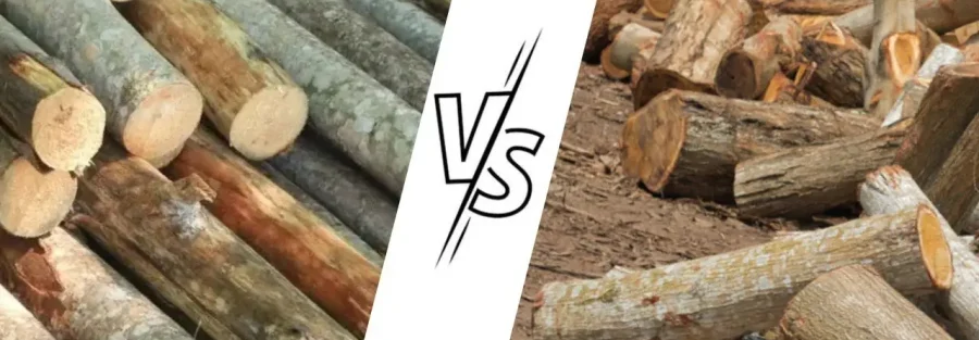 So sánh các loại gỗ đóng pallet hiện nay