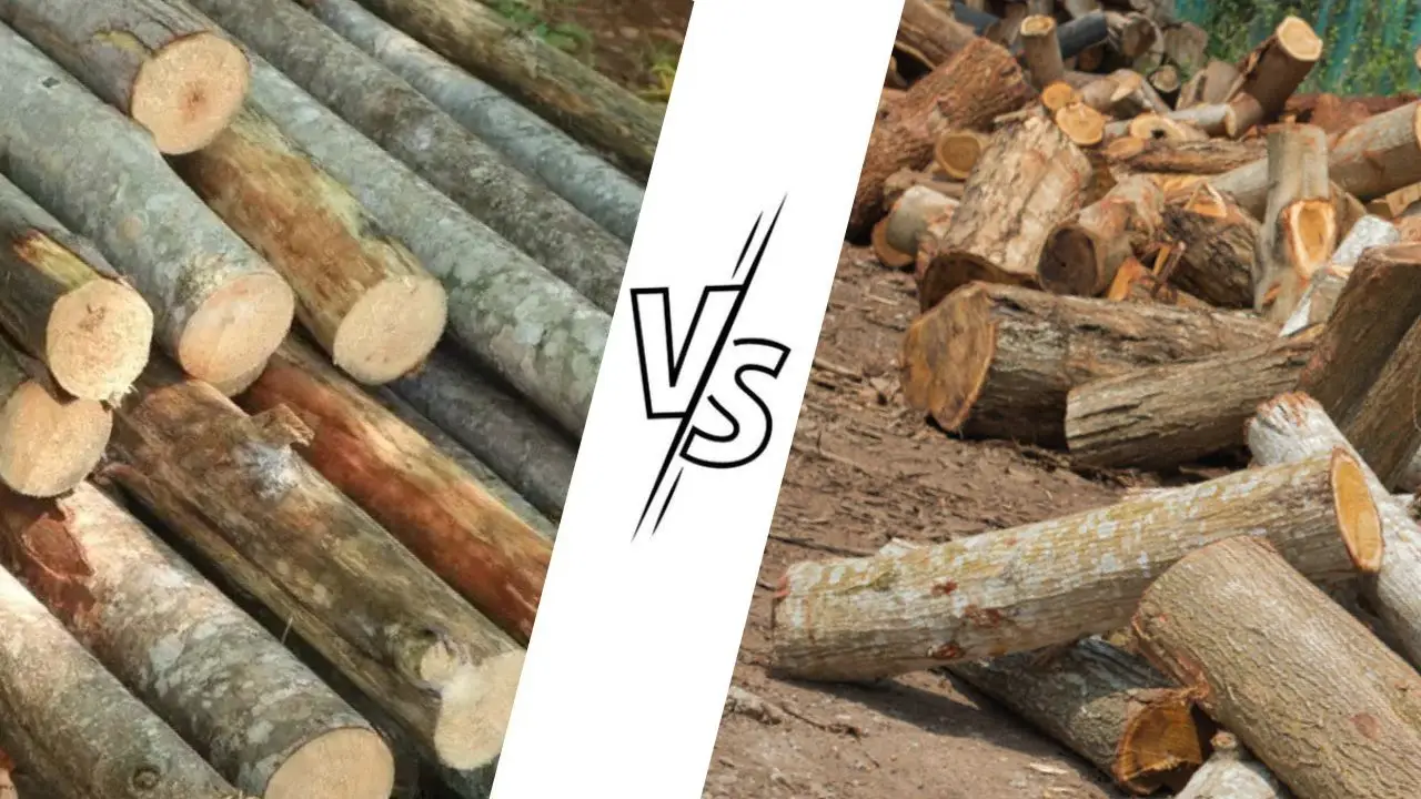 So sánh các loại gỗ đóng pallet hiện nay