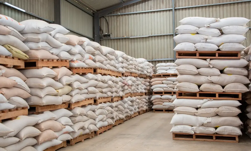 Hàng hóa đóng bao được đặt trên pallet gỗ trong kho lạnh