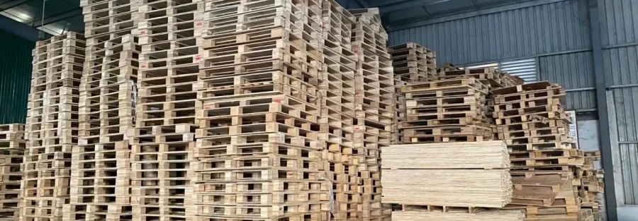 Pallet gỗ cần được sắp xếp và bảo quản trong không gian phù hợp