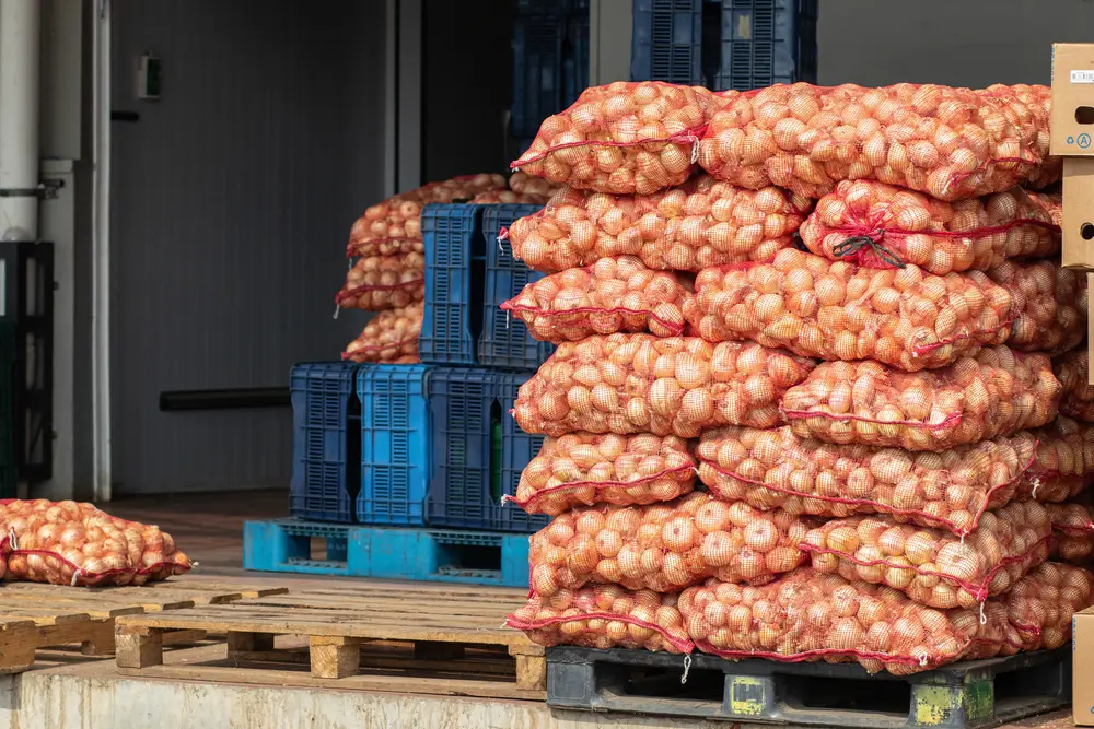 Pallet gỗ được sử dụng để lưu trữ và vận chuyển