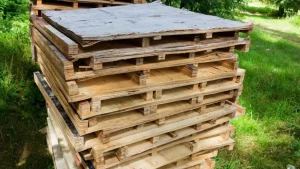 Quy trình sản xuất pallet gỗ ép đạt chuẩn xuất khẩu mới nhất
