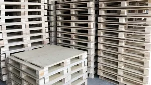 Ứng dụng pallet ván gỗ ép trên thị trường năm 2026