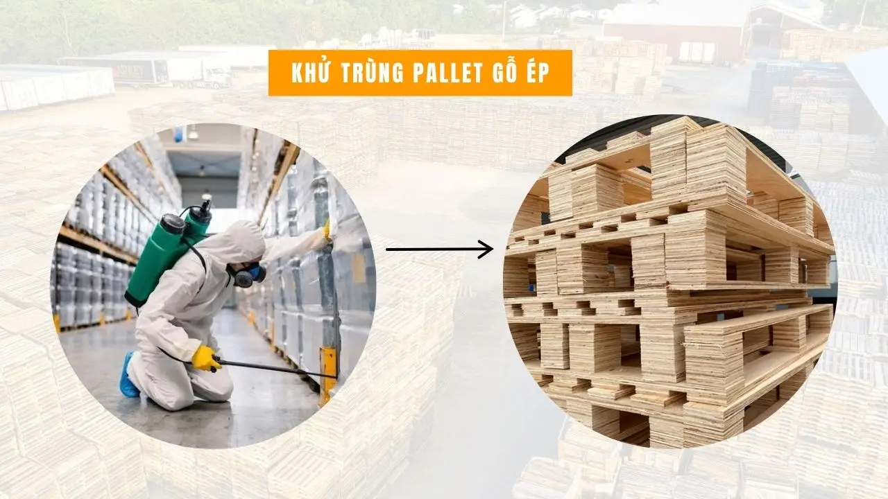 Phương pháp khử trùng pallet gỗ ép hiện nay
